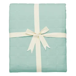 Adult Quilted Blanket in Sage 2.5