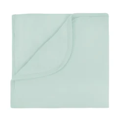 Baby Blanket in Sage 1.0