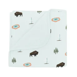 Baby Blanket in Yellowstone 1.0