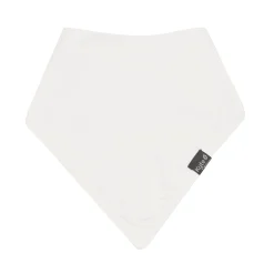 Bib in Cloud