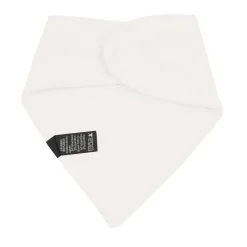 Bib in Cloud