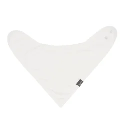 Bib in Cloud