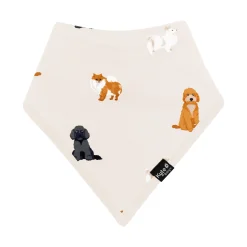 Bib in Fluffy Dog