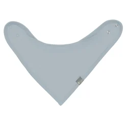 Bib in Fog
