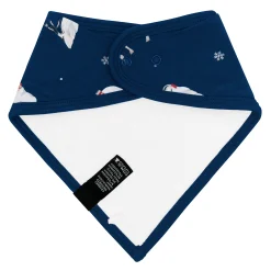 Bib in Frosty Friends