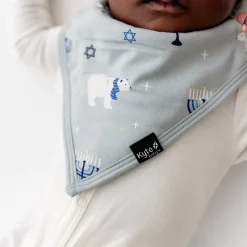 Bib in Polar Lights