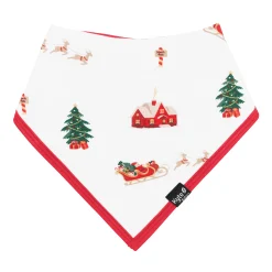 Bib in Santa Sleigh
