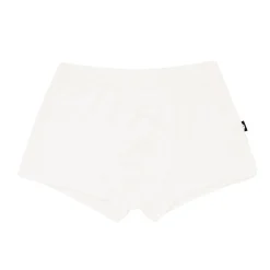 Briefs in Cloud