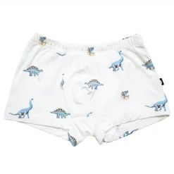 Briefs in Jurassic