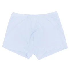 Briefs in Mist