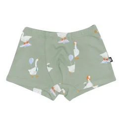 Briefs in Silly Goose