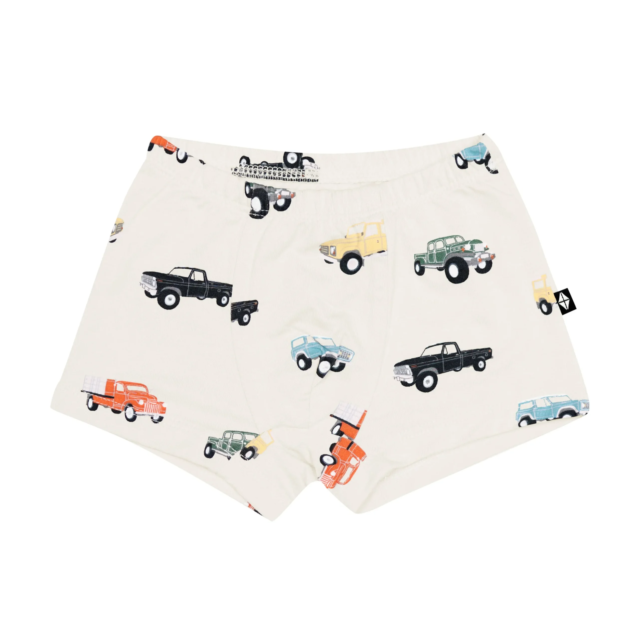 Briefs in Vintage Truck