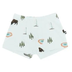 Briefs in Yellowstone
