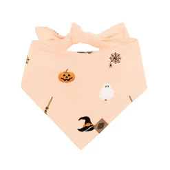 Dog Bandana in Bewitched