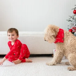 Dog Bandana in Candy Cane