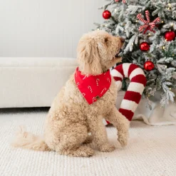 Dog Bandana in Candy Cane