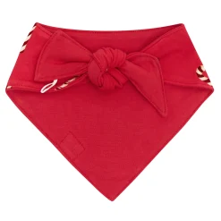 Dog Bandana in Candy Cane
