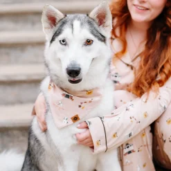 Dog Bandana in Gilmore Girls