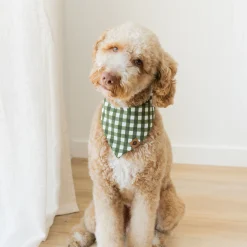 Dog Bandana in Gingham Fir