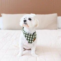 Dog Bandana in Gingham Fir