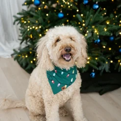 Dog Bandana in Merry and Bright