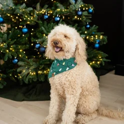 Dog Bandana in Merry and Bright