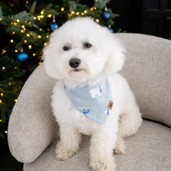 Dog Bandana in Polar Lights