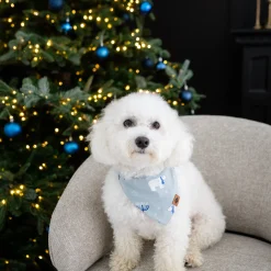 Dog Bandana in Polar Lights