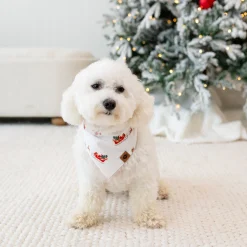 Dog Bandana in Santa Sleigh