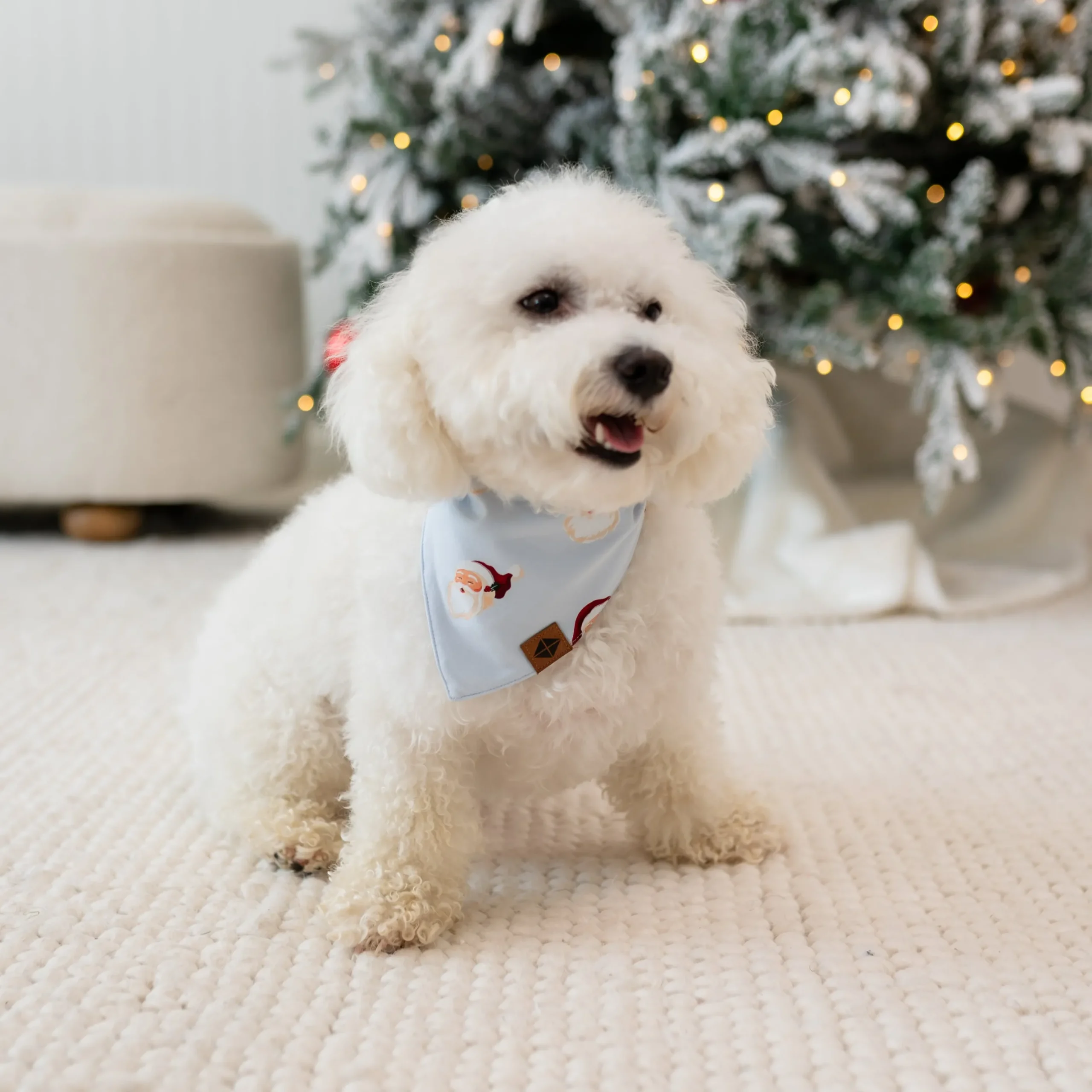 Dog Bandana in Vintage Santa
