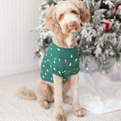Dog Tee in Merry and Bright