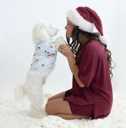 Dog Tee in Vintage Santa