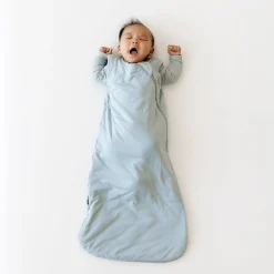 Sleep Bag in Fog 1.0