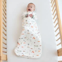 Sleep Bag in Road Trip 1.0