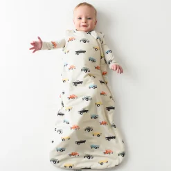 Sleep Bag in Vintage Truck 1.0