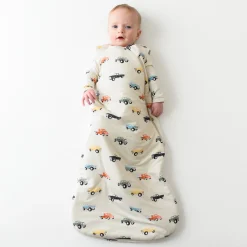 Sleep Bag in Vintage Truck 1.0