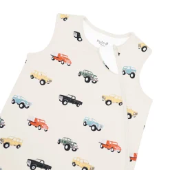 Sleep Bag in Vintage Truck 1.0