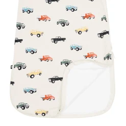 Sleep Bag in Vintage Truck 1.0