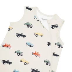 Sleep Bag in Vintage Truck 0.5