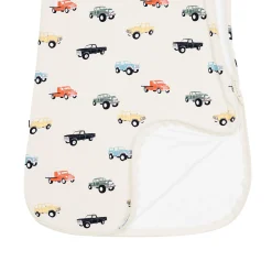 Sleep Bag in Vintage Truck 0.5