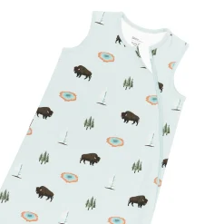 Sleep Bag in Yellowstone 1.0