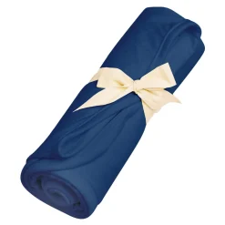 Swaddle Blanket in Tahoe