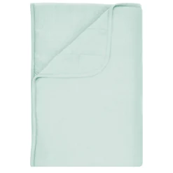 Toddler Blanket in Sage 2.5