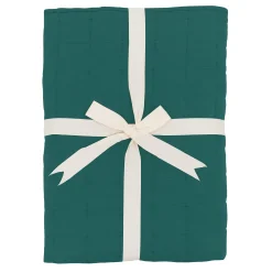 Youth Blanket in Emerald 2.5
