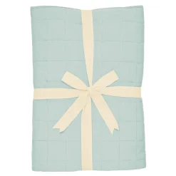 Youth Blanket in Sage 1.0