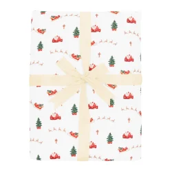 Youth Blanket in Santa Sleigh 2.5