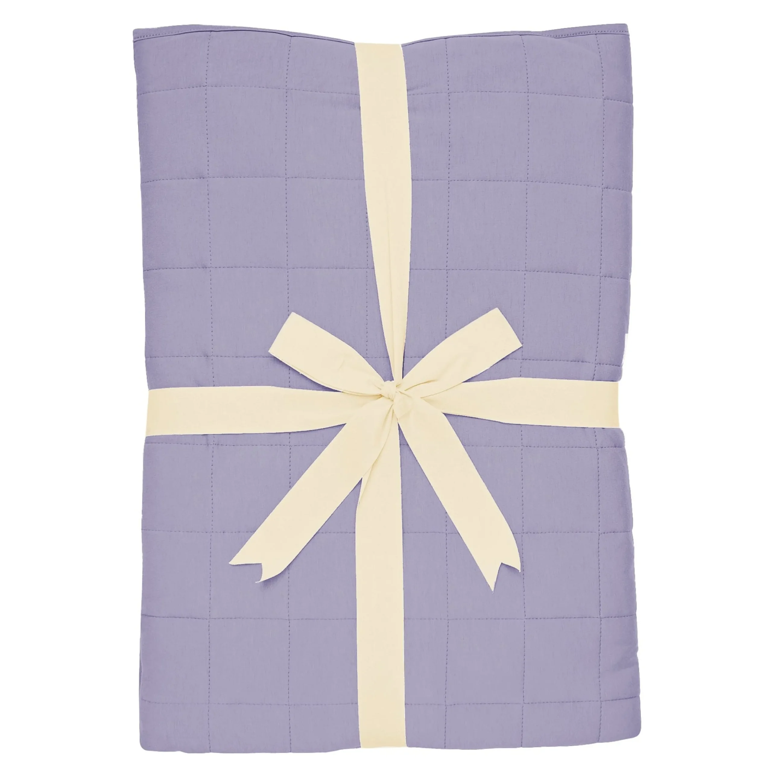 Youth Blanket in Taro 2.5