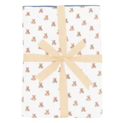 Youth Blanket in Teddy Bear 1.0